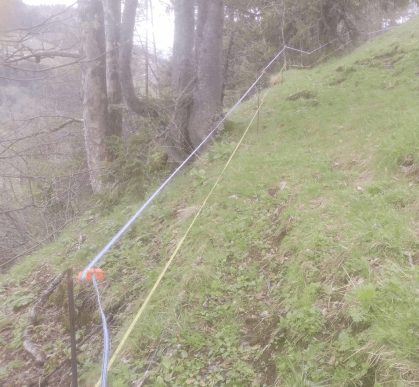 Pfosten auf Weide